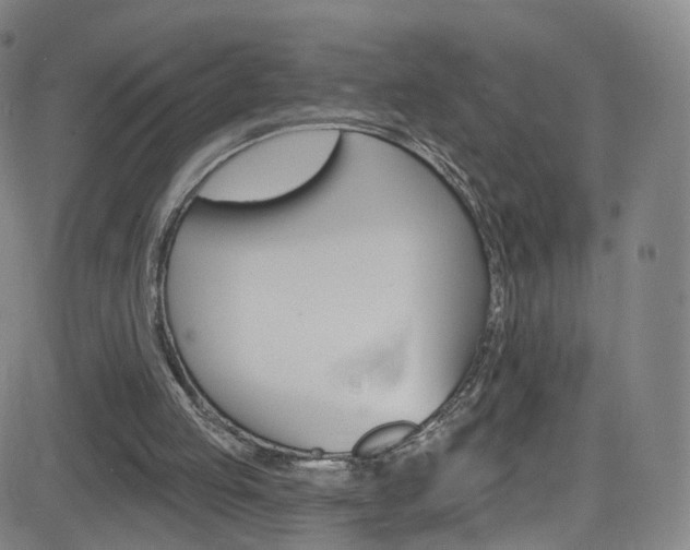 X0000083040053200702020953