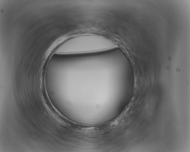 X0000083040054200702020953