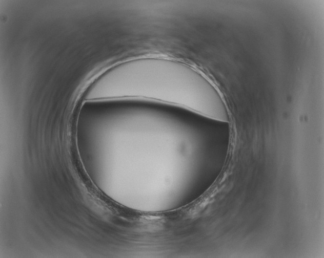 X0000083040055200702020953