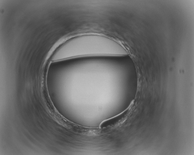 X0000083040056200702020953