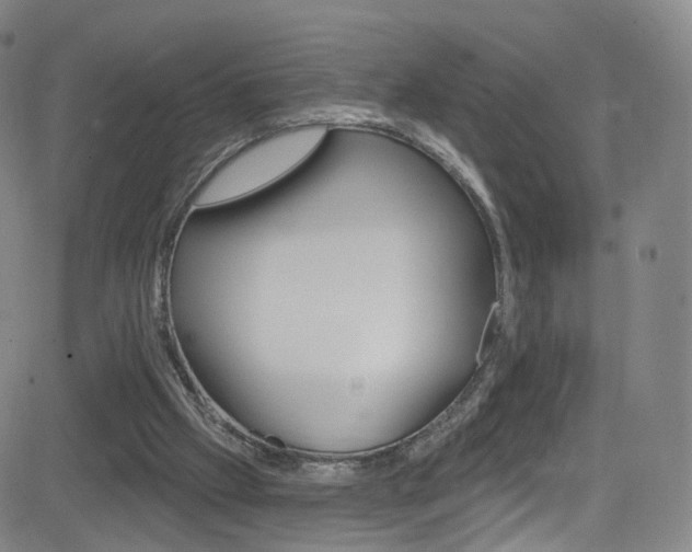 X0000083040057200702020953