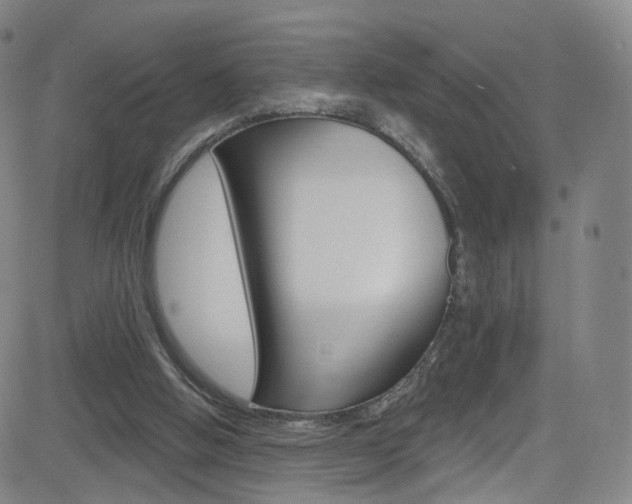 X0000083040058200702020953