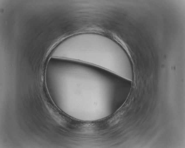 X0000083040059200702020953