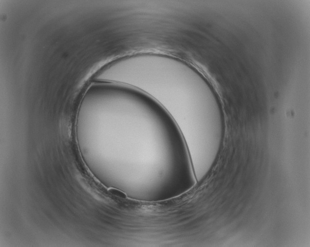 X0000083040060200702020953