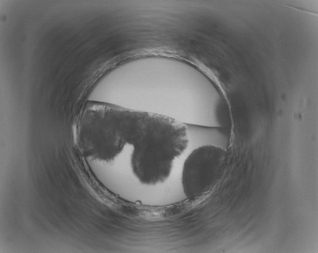 X0000083040061200702020953