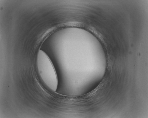 X0000083040062200702020953