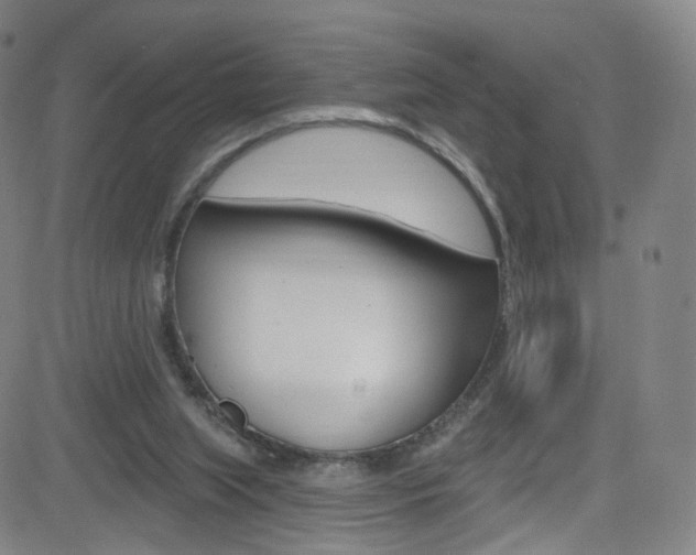 X0000083040063200702020953