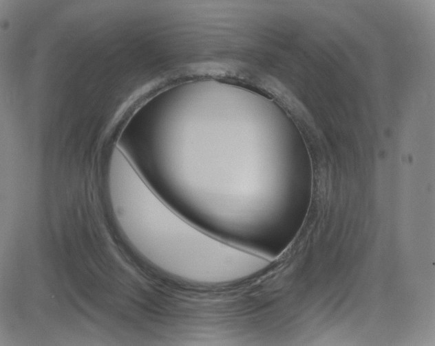 X0000083040064200702020953