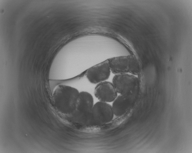 X0000083040065200702020953