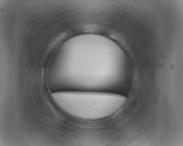 X0000083040066200702020953