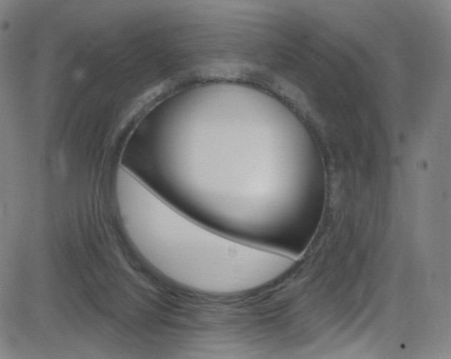 X0000083040068200702020953