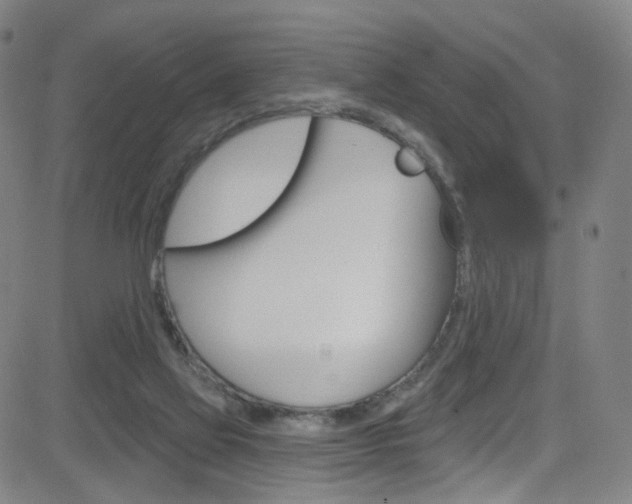 X0000083040069200702020953