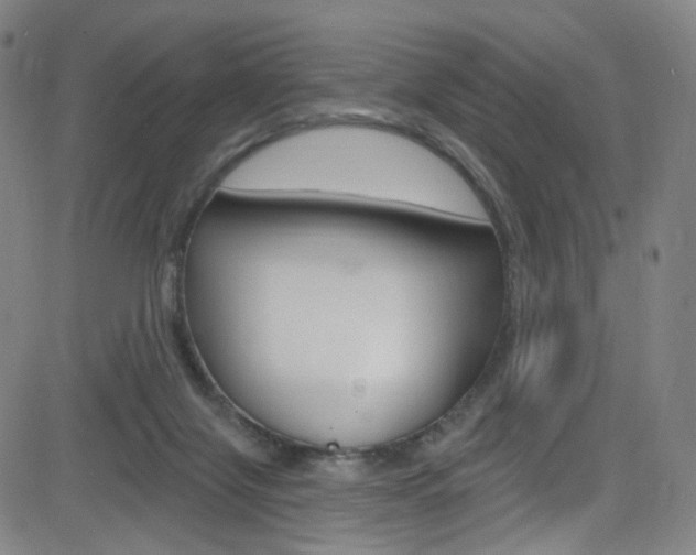 X0000083040071200702020953