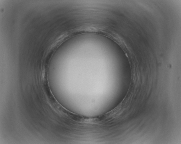 X0000083040072200702020953