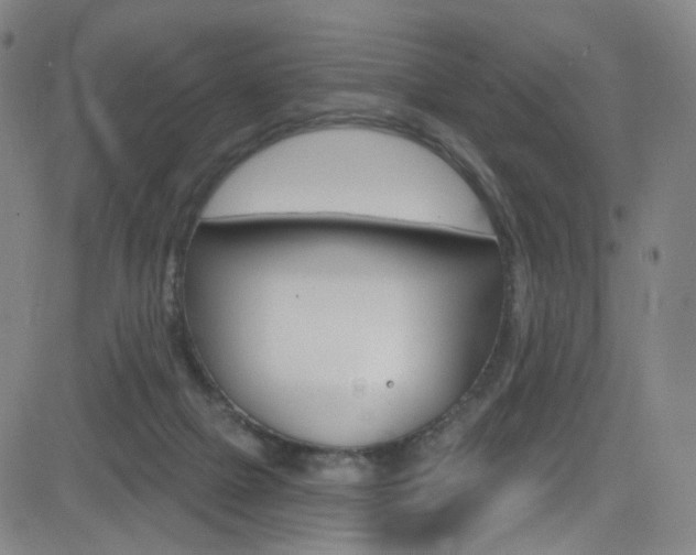 X0000083040073200702020953