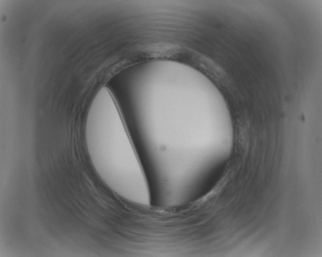 X0000083040074200702020953