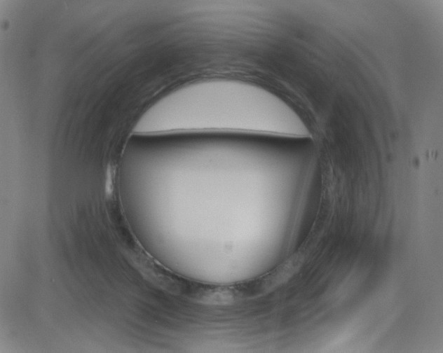 X0000083040075200702020953