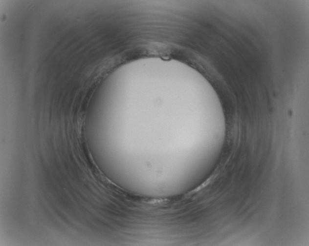 X0000083040078200702020953