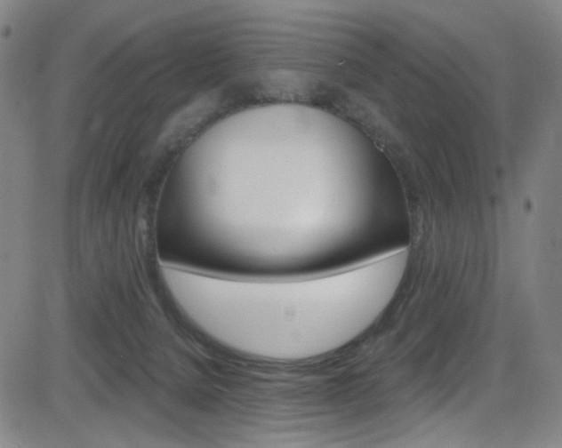 X0000083040080200702020953