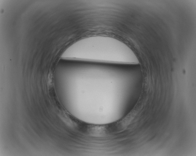 X0000083040081200702020953