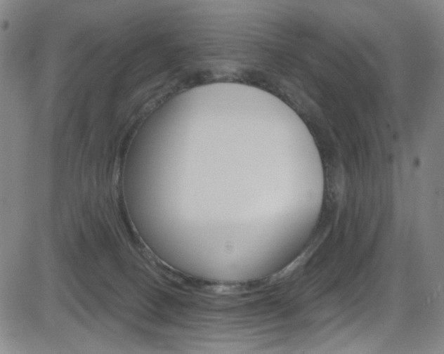 X0000083040082200702020953