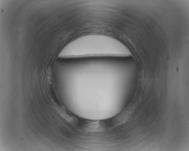 X0000083040083200702020953