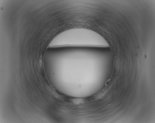 X0000083040085200702020953