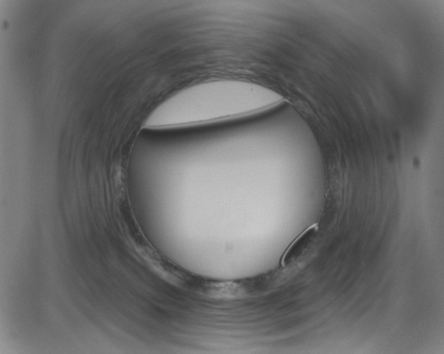 X0000083040087200702020953