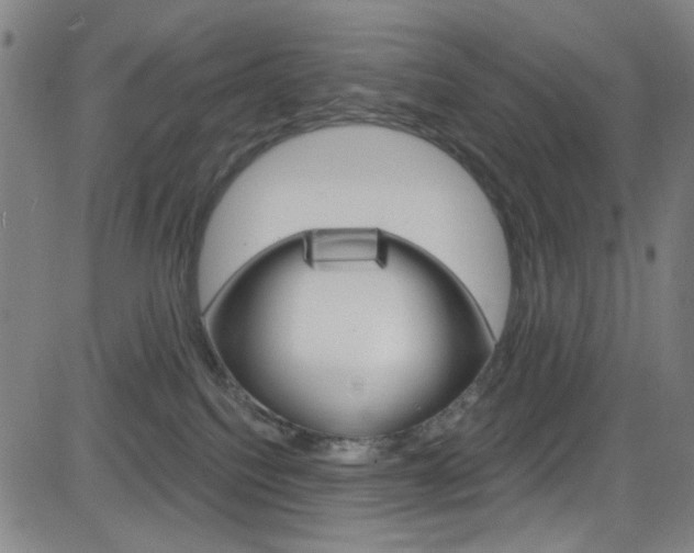 X0000083040088200702020953