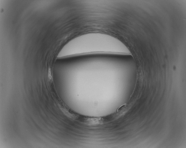 X0000083040089200702020953