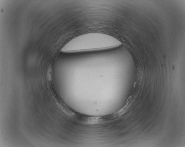 X0000083040090200702020953