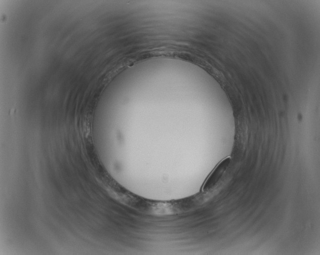 X0000083040091200702020953