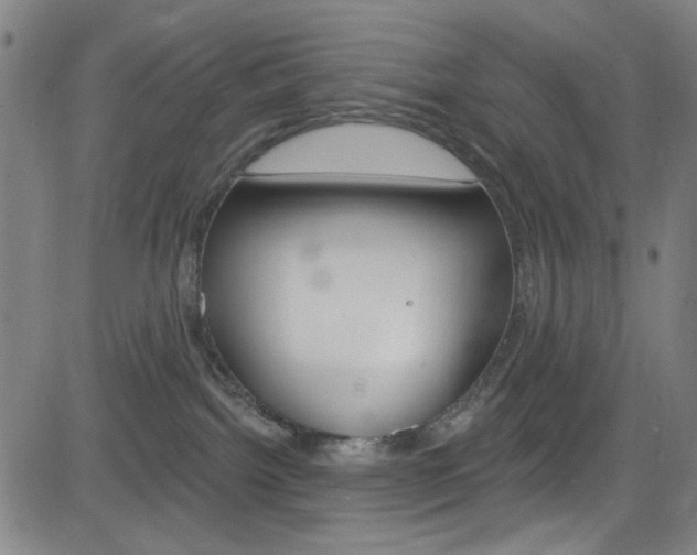 X0000083040092200702020953