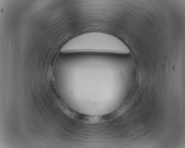 X0000083040093200702020953