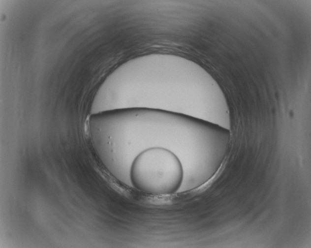 X0000083040094200702020954