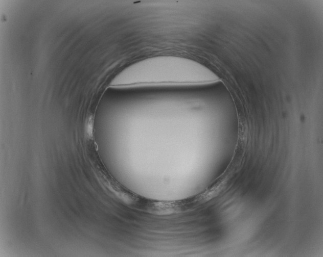 X0000083040095200702020954