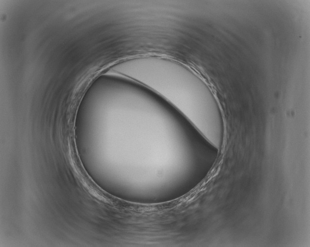 X0000083040097200702020953