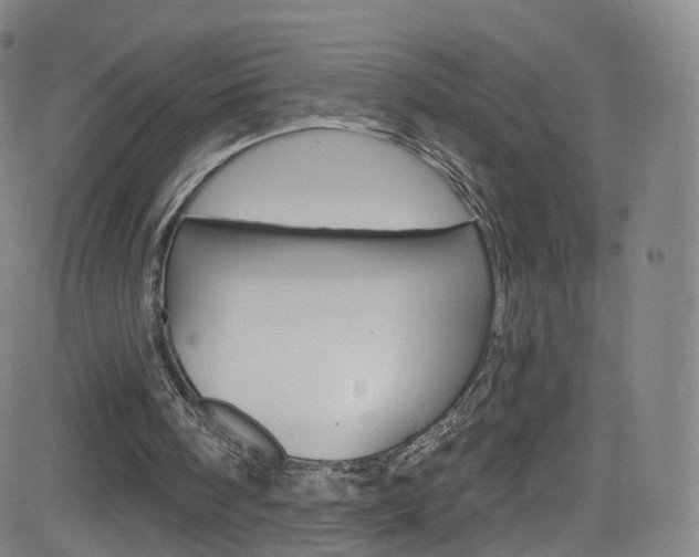 X0000083040098200702020953