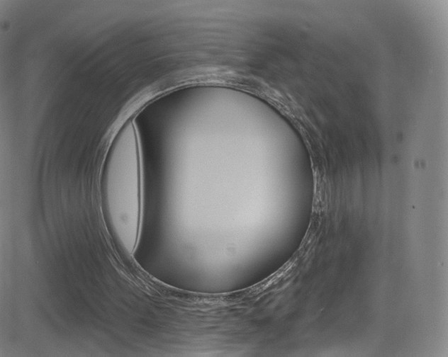 X0000083040099200702020953