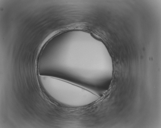 X0000083040100200702020953