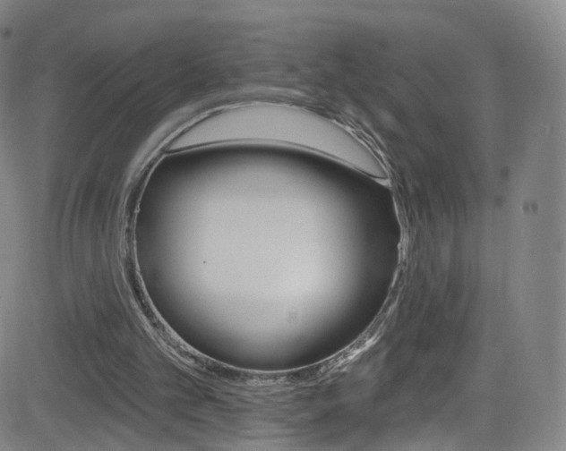 X0000083040101200702020953