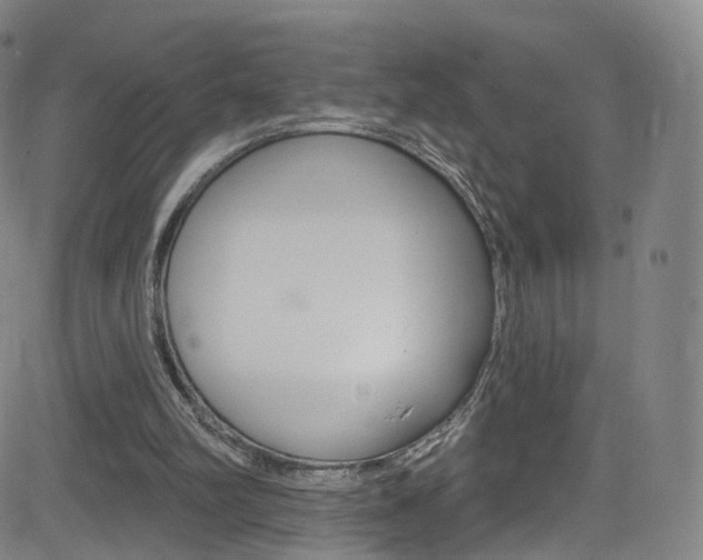 X0000083040102200702020953