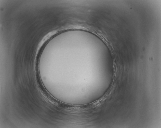 X0000083040104200702020953