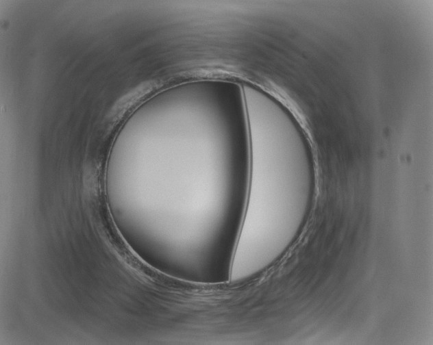 X0000083040105200702020953