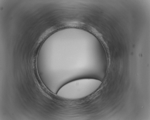 X0000083040106200702020953