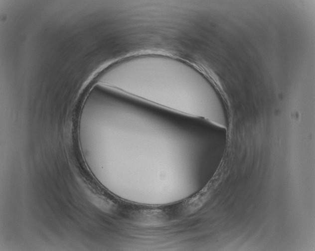 X0000083040108200702020953