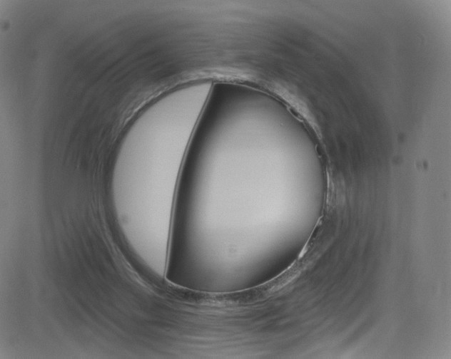 X0000083040109200702020953