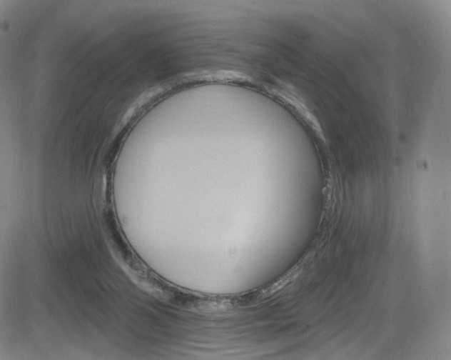 X0000083040110200702020953