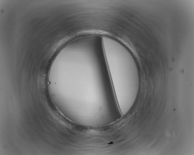 X0000083040111200702020953