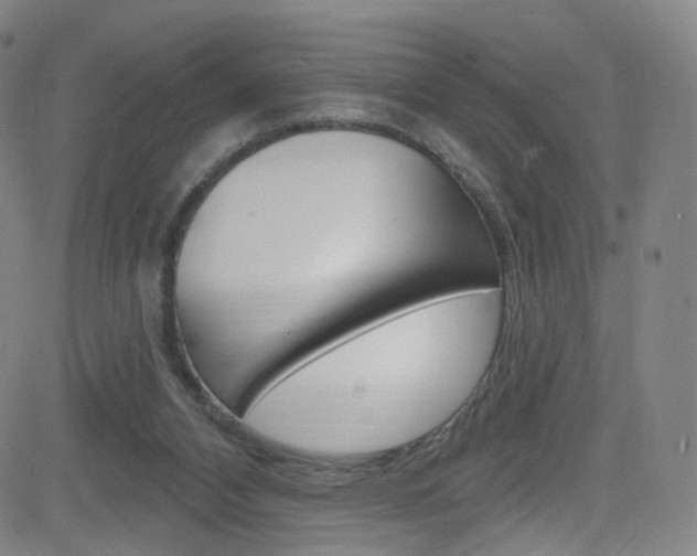 X0000083040112200702020953